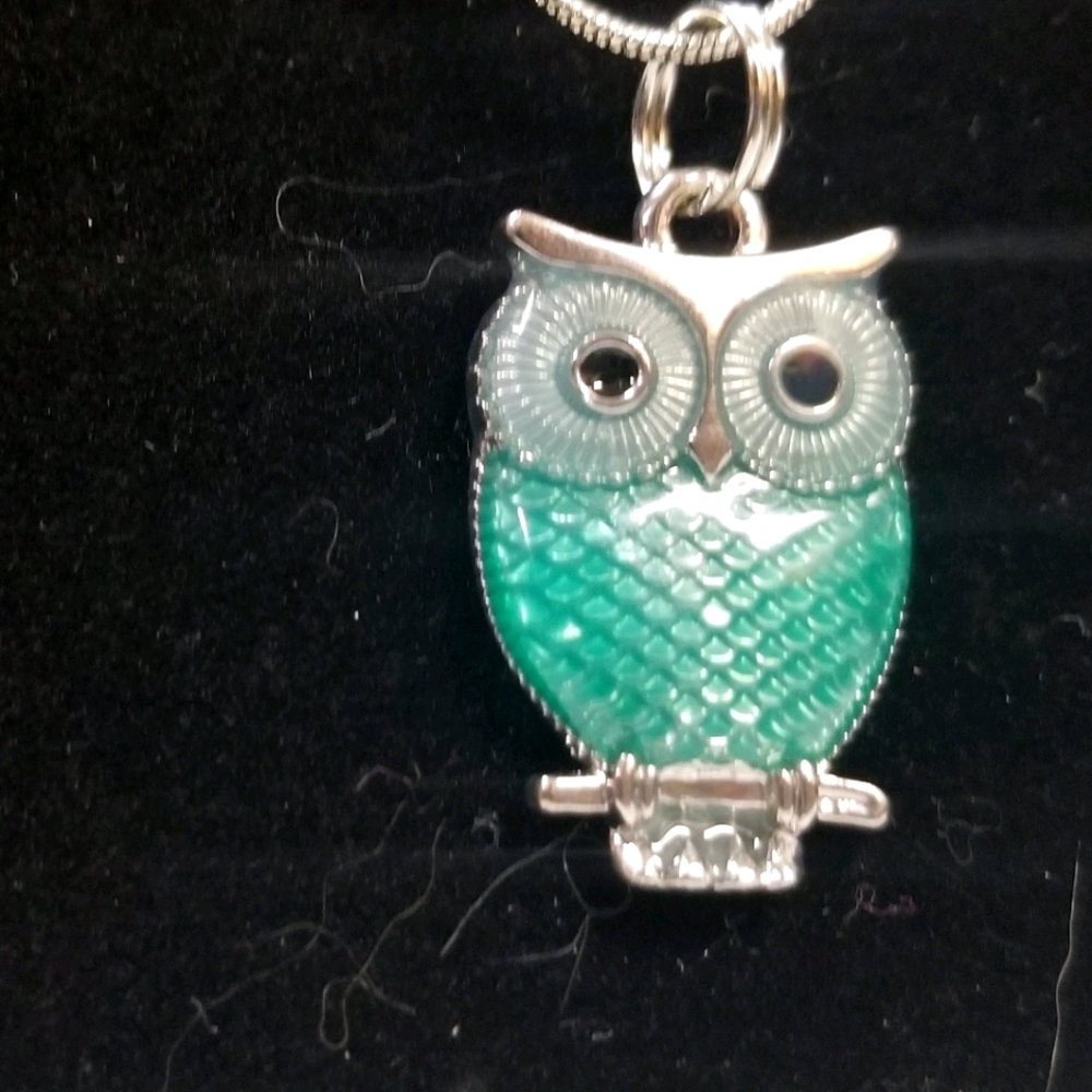 Blue owl necklaces!